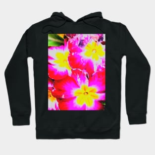 Pink,Red Flowers by LowEndGraphics Hoodie